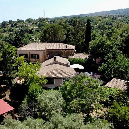 Bed And Breakfast Il Glicine Piedimonte Etneo Ngoại thất bức ảnh