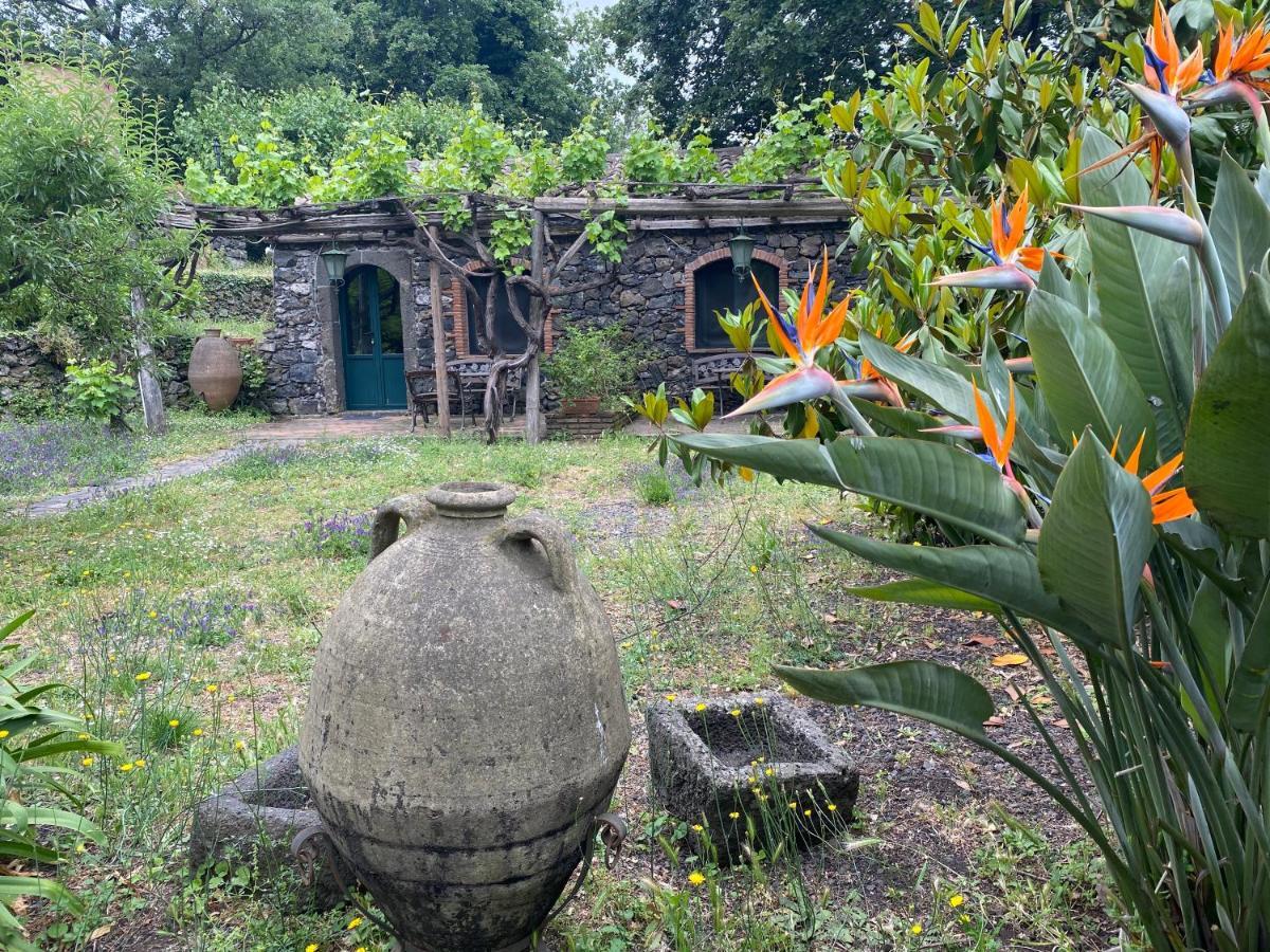 Bed And Breakfast Il Glicine Piedimonte Etneo Ngoại thất bức ảnh