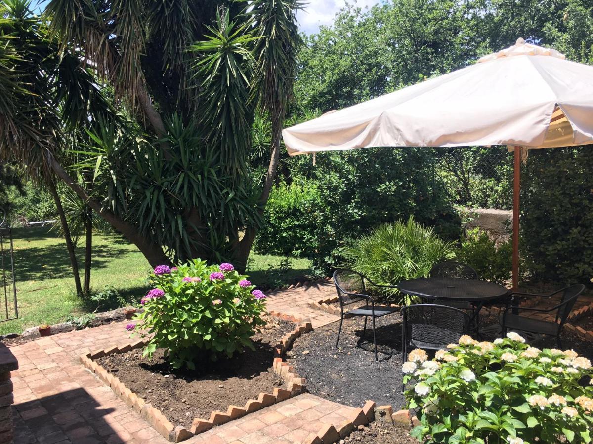 Bed And Breakfast Il Glicine Piedimonte Etneo Ngoại thất bức ảnh