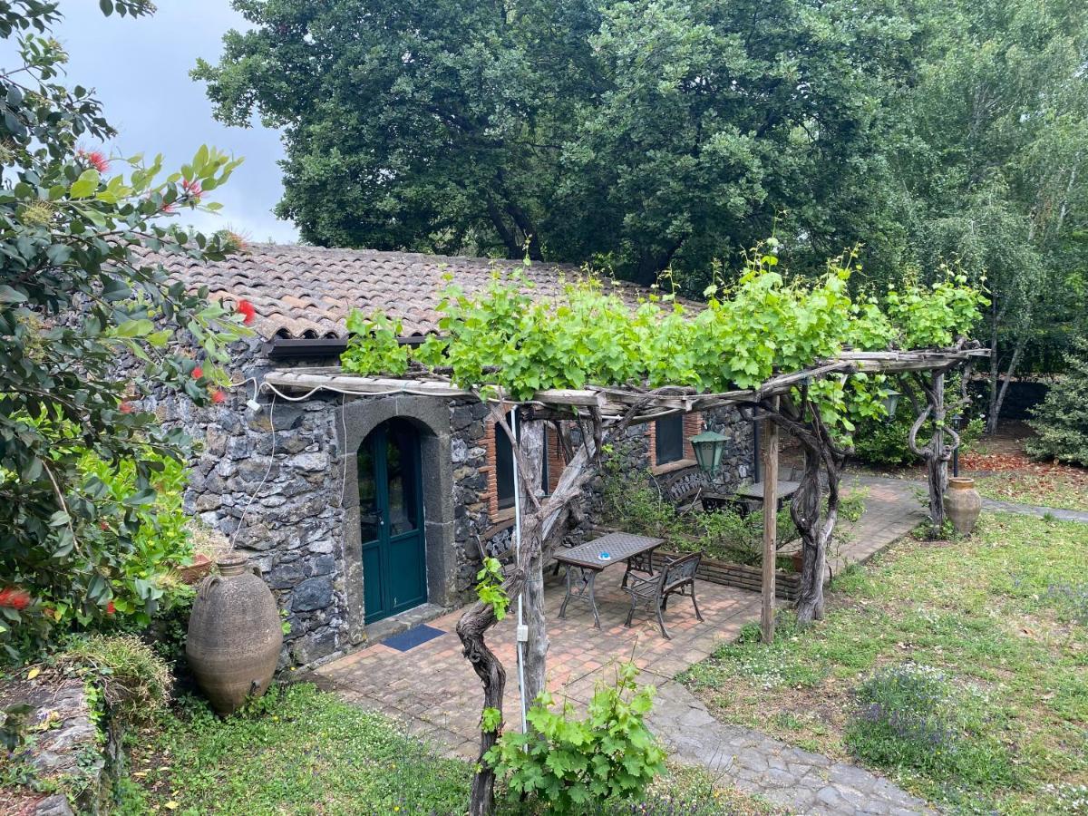 Bed And Breakfast Il Glicine Piedimonte Etneo Ngoại thất bức ảnh
